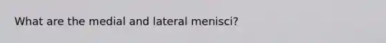 What are the medial and lateral menisci?