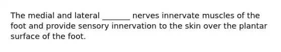 The medial and lateral _______ nerves innervate muscles of the foot and provide sensory innervation to the skin over the plantar surface of the foot.