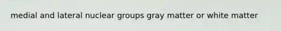 medial and lateral nuclear groups gray matter or white matter