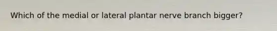 Which of the medial or lateral plantar nerve branch bigger?