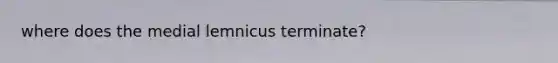 where does the medial lemnicus terminate?