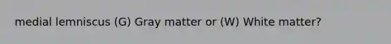 medial lemniscus (G) Gray matter or (W) White matter?