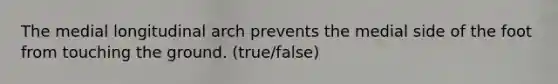 The medial longitudinal arch prevents the medial side of the foot from touching the ground. (true/false)