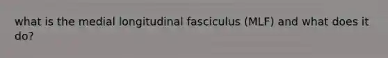 what is the medial longitudinal fasciculus (MLF) and what does it do?