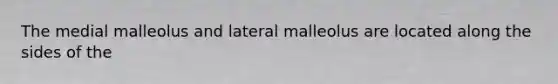 The medial malleolus and lateral malleolus are located along the sides of the