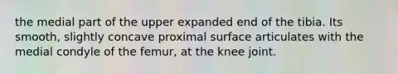 the medial part of the upper expanded end of the tibia. Its smooth, slightly concave proximal surface articulates with the medial condyle of the femur, at the knee joint.