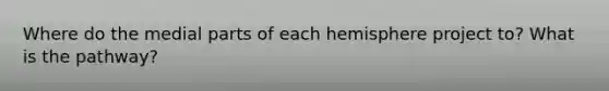 Where do the medial parts of each hemisphere project to? What is the pathway?