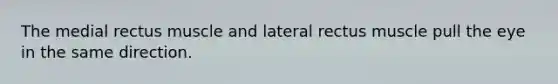 The medial rectus muscle and lateral rectus muscle pull the eye in the same direction.