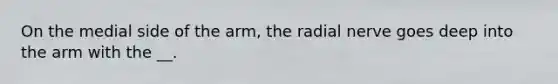 On the medial side of the arm, the radial nerve goes deep into the arm with the __.