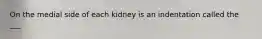 On the medial side of each kidney is an indentation called the ___