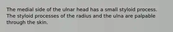 The medial side of the ulnar head has a small styloid process. The styloid processes of the radius and the ulna are palpable through the skin.