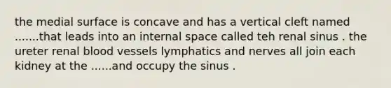 the medial surface is concave and has a vertical cleft named .......that leads into an internal space called teh renal sinus . the ureter renal <a href='https://www.questionai.com/knowledge/kZJ3mNKN7P-blood-vessels' class='anchor-knowledge'>blood vessels</a> lymphatics and nerves all join each kidney at the ......and occupy the sinus .