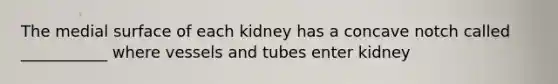 The medial surface of each kidney has a concave notch called ___________ where vessels and tubes enter kidney