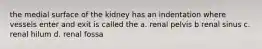 the medial surface of the kidney has an indentation where vessels enter and exit is called the a. renal pelvis b renal sinus c. renal hilum d. renal fossa
