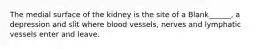 The medial surface of the kidney is the site of a Blank______, a depression and slit where blood vessels, nerves and lymphatic vessels enter and leave.