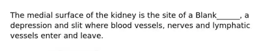 The medial surface of the kidney is the site of a Blank______, a depression and slit where blood vessels, nerves and lymphatic vessels enter and leave.