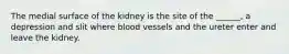 The medial surface of the kidney is the site of the ______, a depression and slit where blood vessels and the ureter enter and leave the kidney.