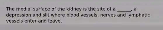 The medial surface of the kidney is the site of a ______, a depression and slit where blood vessels, nerves and lymphatic vessels enter and leave.