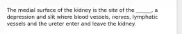 The medial surface of the kidney is the site of the ______, a depression and slit where blood vessels, nerves, lymphatic vessels and the ureter enter and leave the kidney.