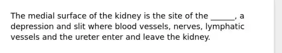 The medial surface of the kidney is the site of the ______, a depression and slit where blood vessels, nerves, lymphatic vessels and the ureter enter and leave the kidney.