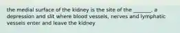 the medial surface of the kidney is the site of the _______, a depression and slit where blood vessels, nerves and lymphatic vessels enter and leave the kidney