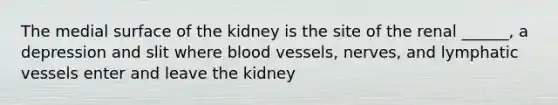 The medial surface of the kidney is the site of the renal ______, a depression and slit where <a href='https://www.questionai.com/knowledge/kZJ3mNKN7P-blood-vessels' class='anchor-knowledge'>blood vessels</a>, nerves, and <a href='https://www.questionai.com/knowledge/ki6sUebkzn-lymphatic-vessels' class='anchor-knowledge'>lymphatic vessels</a> enter and leave the kidney