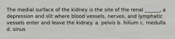 The medial surface of the kidney is the site of the renal ______, a depression and slit where <a href='https://www.questionai.com/knowledge/kZJ3mNKN7P-blood-vessels' class='anchor-knowledge'>blood vessels</a>, nerves, and <a href='https://www.questionai.com/knowledge/ki6sUebkzn-lymphatic-vessels' class='anchor-knowledge'>lymphatic vessels</a> enter and leave the kidney. a. pelvis b. hilium c. medulla d. sinus