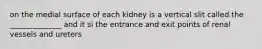 on the medial surface of each kidney is a vertical slit called the ______________ and it si the entrance and exit points of renal vessels and ureters