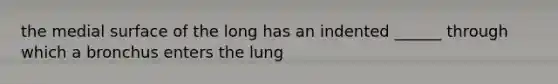 the medial surface of the long has an indented ______ through which a bronchus enters the lung