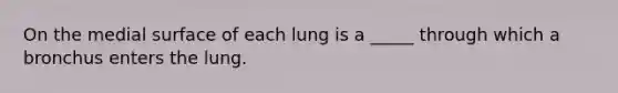 On the medial surface of each lung is a _____ through which a bronchus enters the lung.