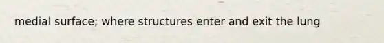 medial surface; where structures enter and exit the lung