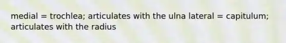 medial = trochlea; articulates with the ulna lateral = capitulum; articulates with the radius