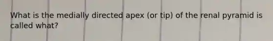 What is the medially directed apex (or tip) of the renal pyramid is called what?