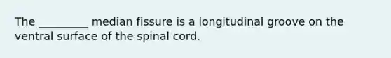 The _________ median fissure is a longitudinal groove on the ventral surface of the spinal cord.