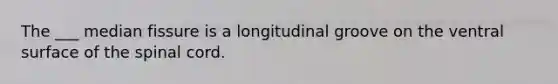 The ___ median fissure is a longitudinal groove on the ventral surface of the spinal cord.