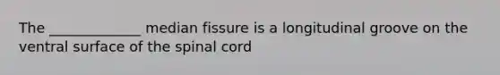 The _____________ median fissure is a longitudinal groove on the ventral surface of the spinal cord