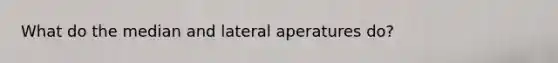 What do the median and lateral aperatures do?