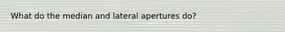 What do the median and lateral apertures do?