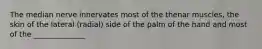 The median nerve innervates most of the thenar muscles, the skin of the lateral (radial) side of the palm of the hand and most of the ______________