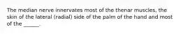 The median nerve innervates most of the thenar muscles, the skin of the lateral (radial) side of the palm of the hand and most of the ______.