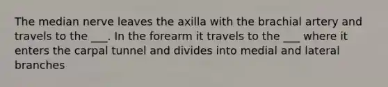 The median nerve leaves the axilla with the brachial artery and travels to the ___. In the forearm it travels to the ___ where it enters the carpal tunnel and divides into medial and lateral branches