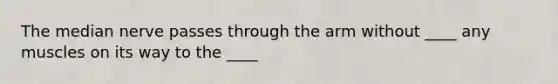The median nerve passes through the arm without ____ any muscles on its way to the ____