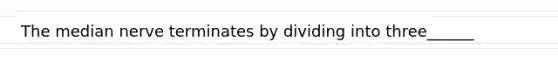 The median nerve terminates by dividing into three______