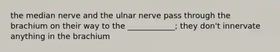 the median nerve and the ulnar nerve pass through the brachium on their way to the ____________; they don't innervate anything in the brachium