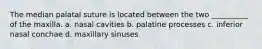 The median palatal suture is located between the two __________ of the maxilla. a. nasal cavities b. palatine processes c. inferior nasal conchae d. maxillary sinuses