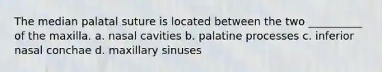 The median palatal suture is located between the two __________ of the maxilla. a. nasal cavities b. palatine processes c. inferior nasal conchae d. maxillary sinuses