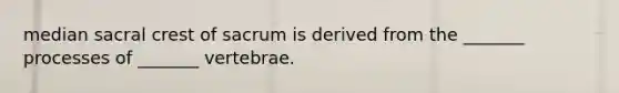 median sacral crest of sacrum is derived from the _______ processes of _______ vertebrae.