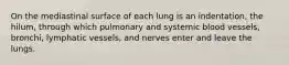 On the mediastinal surface of each lung is an indentation, the hilum, through which pulmonary and systemic blood vessels, bronchi, lymphatic vessels, and nerves enter and leave the lungs.