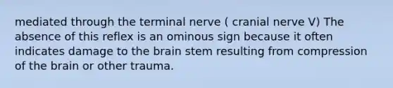 mediated through the terminal nerve ( cranial nerve V) The absence of this reflex is an ominous sign because it often indicates damage to the brain stem resulting from compression of the brain or other trauma.