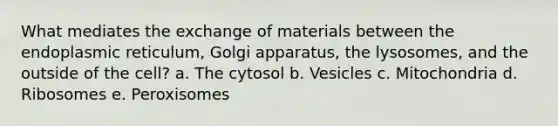 What mediates the exchange of materials between the endoplasmic reticulum, Golgi apparatus, the lysosomes, and the outside of the cell? a. The cytosol b. Vesicles c. Mitochondria d. Ribosomes e. Peroxisomes